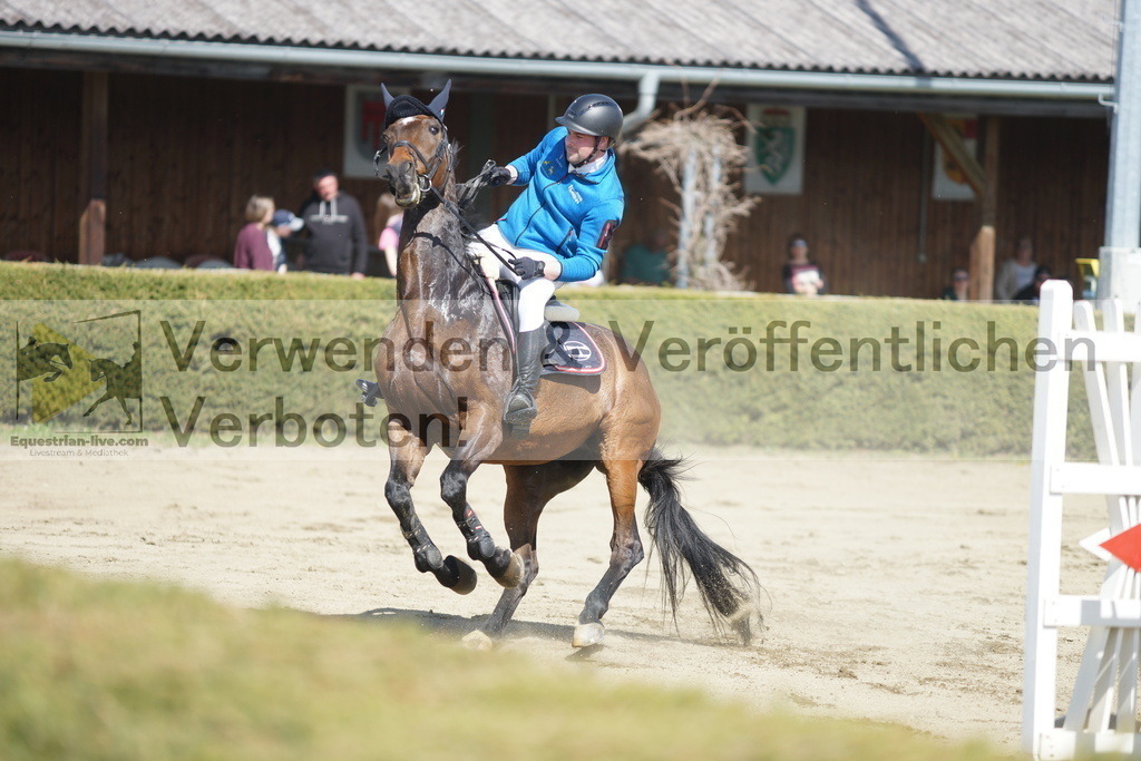 DSC03142 | equestrian-live-com
