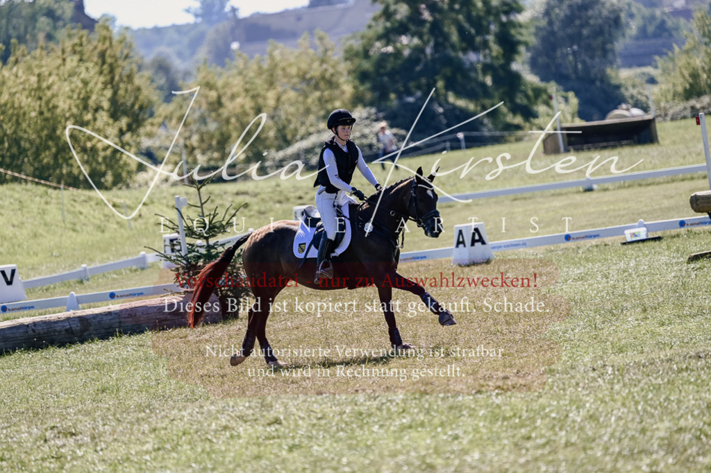 DSC_2729 | Pferde- und Turnierfotografie in Westsachsen. Pferdeportraits, Auftragszeichnungen und intuitive Kunst.