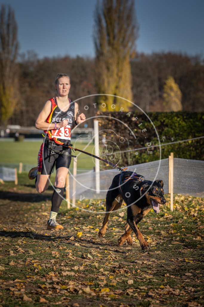 CaniXpix_DV3A2081 | Hundefotografie, Tierfotograf, Pfotenfotografie, Fotoshooting Hund, Hunde Portrait, Hundesport, Hundeportraits, Heideshooting, Hunde, Sportfotograf, Hundefotograf, Turnierhundsport, THS,  - Realisiert mit Pictrs.com