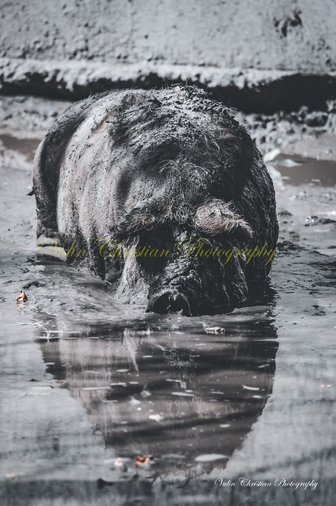 PH 11 | Christian Vulin  - Realisiert mit Pictrs.com