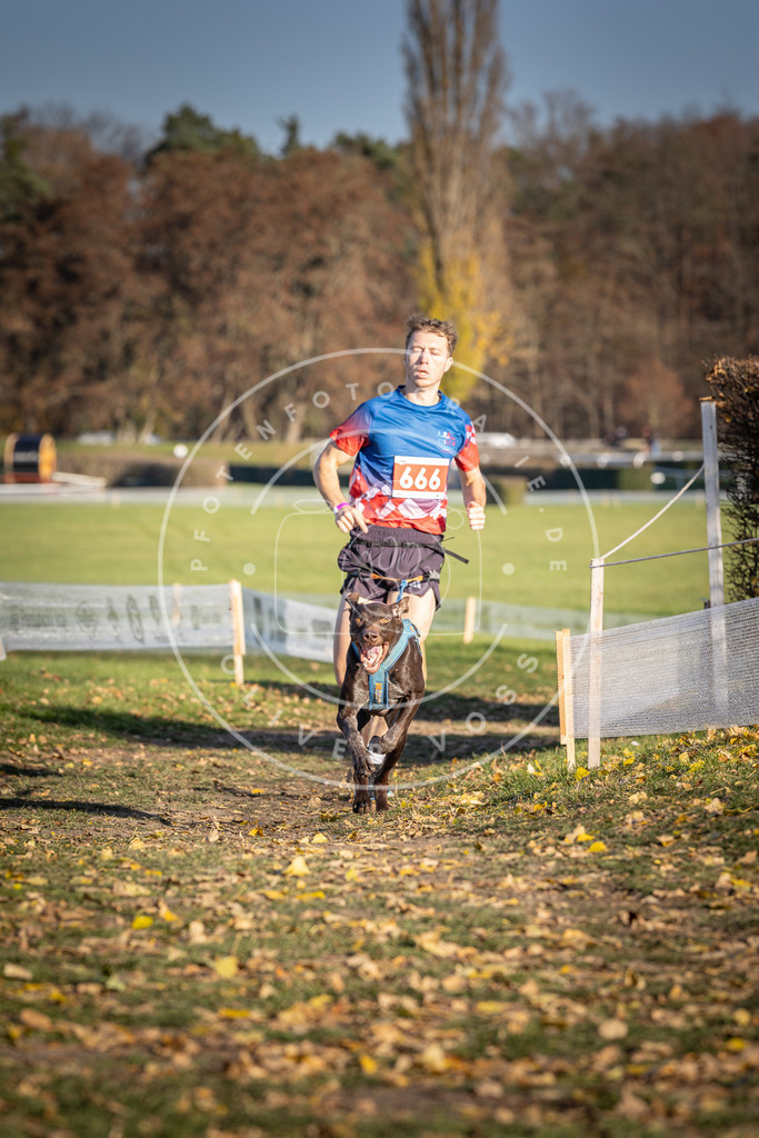 CaniXpix_DV3A0767 | Hundefotografie, Tierfotograf, Pfotenfotografie, Fotoshooting Hund, Hunde Portrait, Hundesport, Hundeportraits, Heideshooting, Hunde, Sportfotograf, Hundefotograf, Turnierhundsport, THS,  - Realisiert mit Pictrs.com