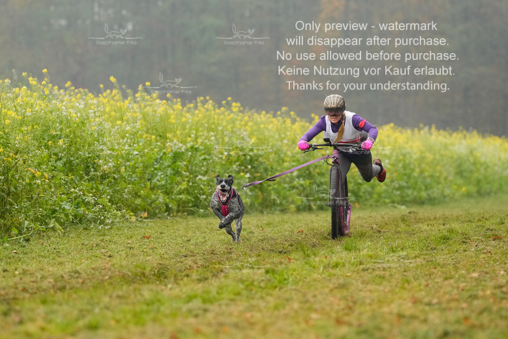 Visbeck_Sa_Scooter_Hc-31 | stephaniefillaphotographie - Realisiert mit Pictrs.com