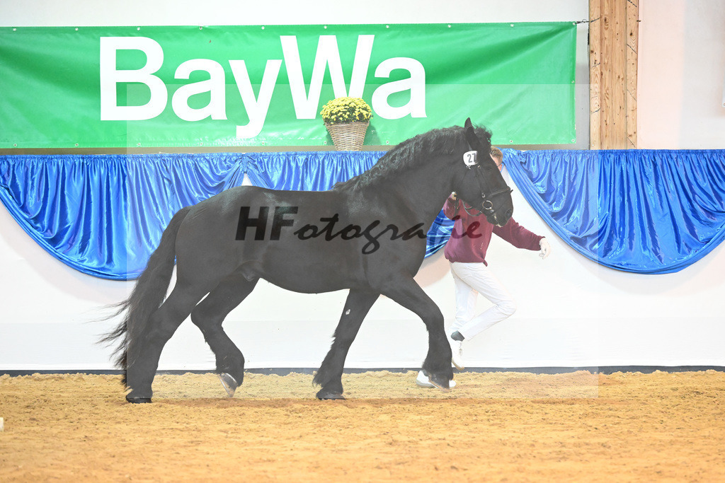 Kat-Nr. 27 Arturo_Holzrueckebetrieb Kaufmann UG_53221127 | hf-fotografie - Realizzato con Pictrs.com