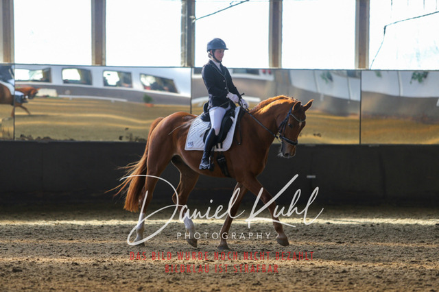 IMG_2341 | Turniersportfotografie; Pferdefotografie; Dressurfotografie