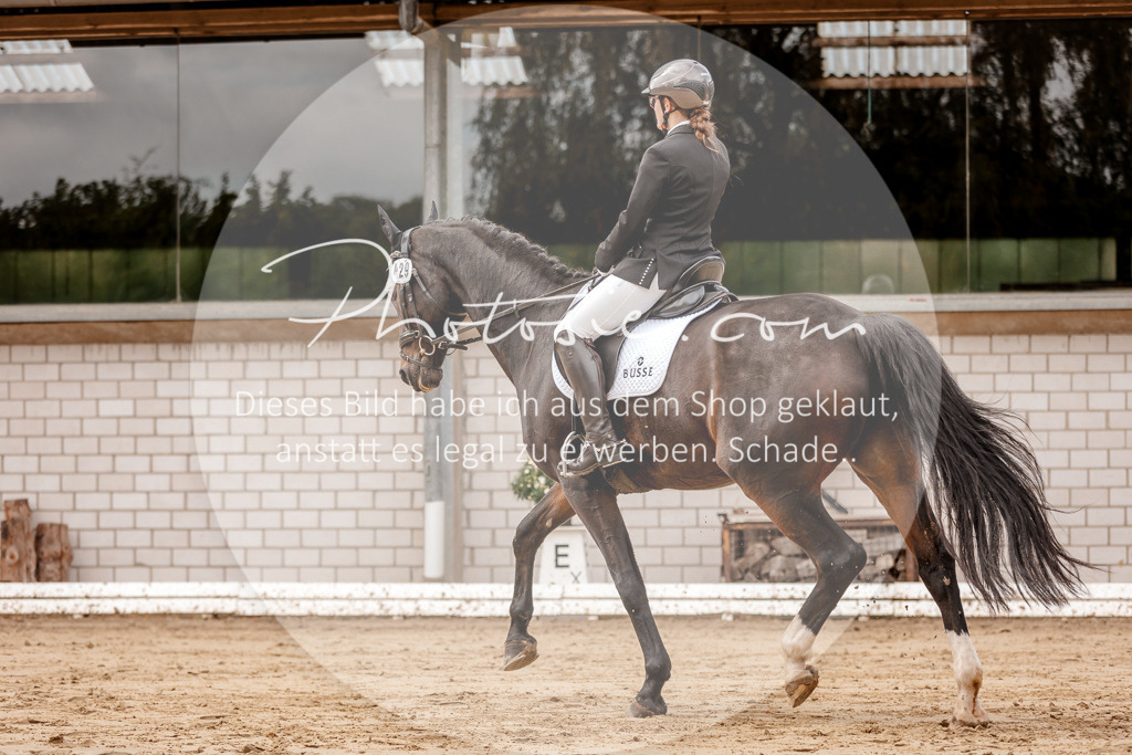 3I6A6965 | Stimmungsvolle Portraits und Reitsportfotografie im Ruhrgebiet und im Münsterland.

Pferdefotografie, Hundefotografie, Tierfotografie, Reportagen, Portraits von Tier und Mensch, Turnierfotografie in Bochum, Recklinghausen, Marl, Haltern am See, Dülmen.. - Realisiert mit Pictrs.com