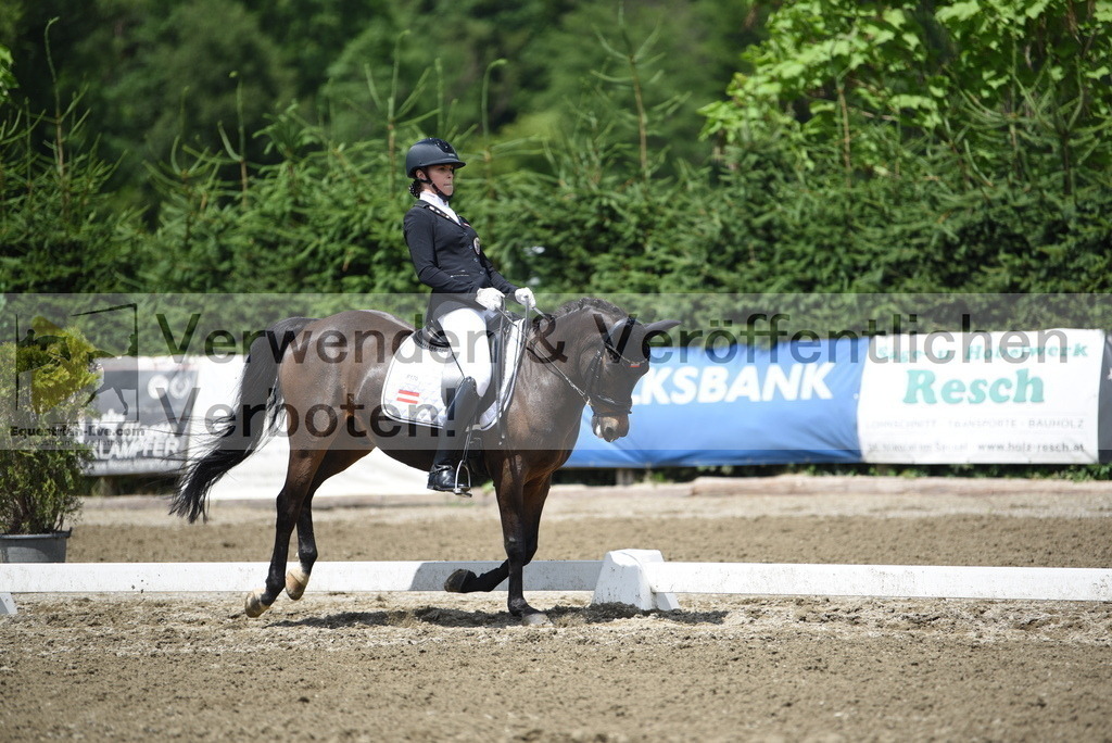 DSC_1434 | equestrian-live-com