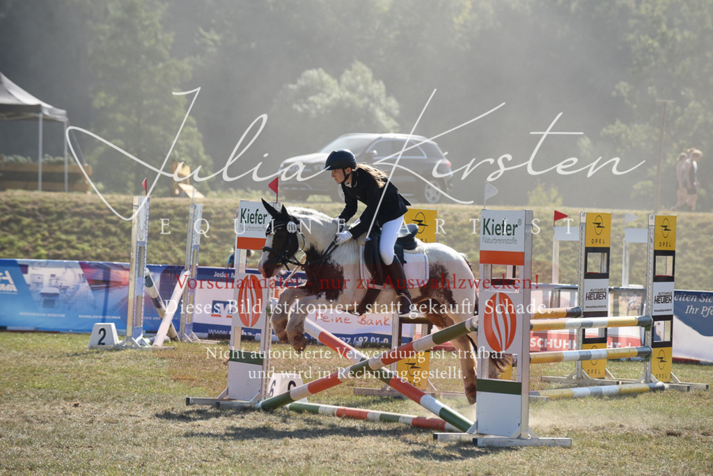 DSC_6099 | Pferde- und Turnierfotografie in Westsachsen. Pferdeportraits, Auftragszeichnungen und intuitive Kunst.