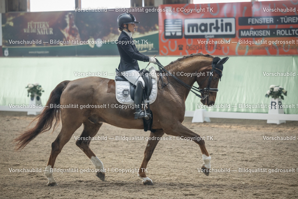 _D5A4178 | Emotionale Pferde- & People-Fotografie rund um Heidelberg, Leimen & Umgebung. Natürliche Fotos von Pferd, Mensch & Familie. Jetzt Termin sichern!