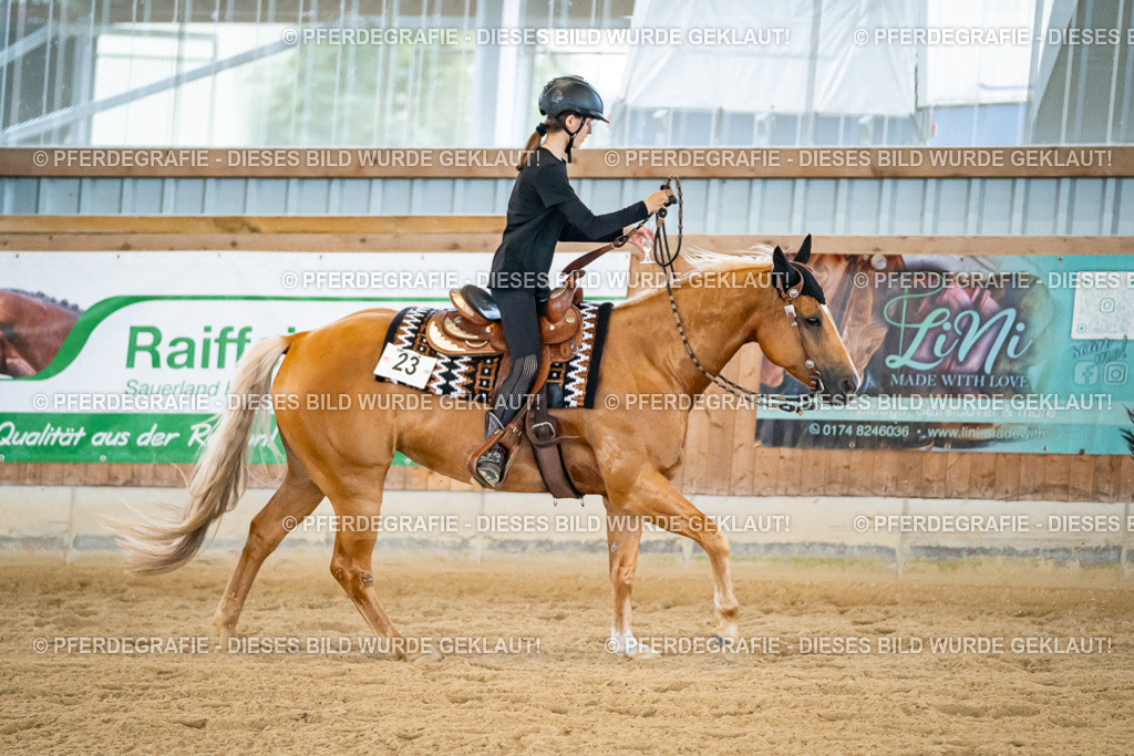 DSC09205 | Pferdegrafie