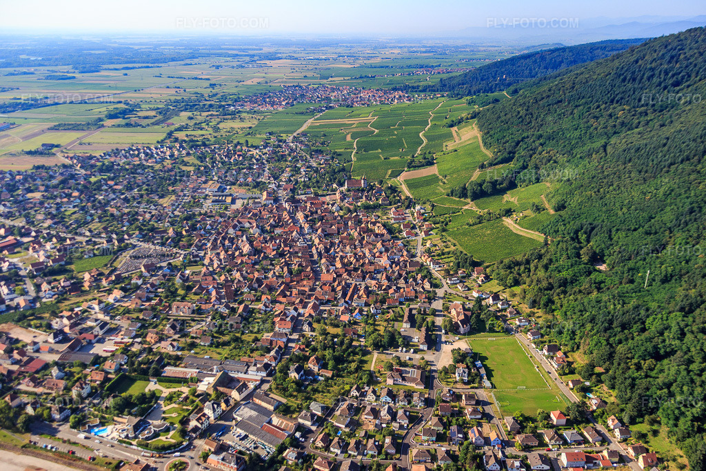 Aerial view: Winegrowing village below the northern slopes of the Vosges Mountains in Châtenois in the state Bas-Rhin, France.Photo: IMG_093284.jpg taken on 08/16/2016 by Werner Riehm/FLY-FOTO.comResolution of the original: 5472 x 3648 px