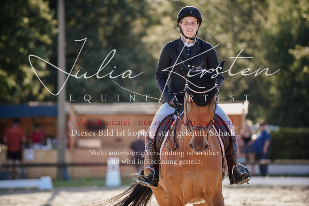DSC_0665 | Pferde- und Turnierfotografie in Westsachsen. Pferdeportraits, Auftragszeichnungen und intuitive Kunst.