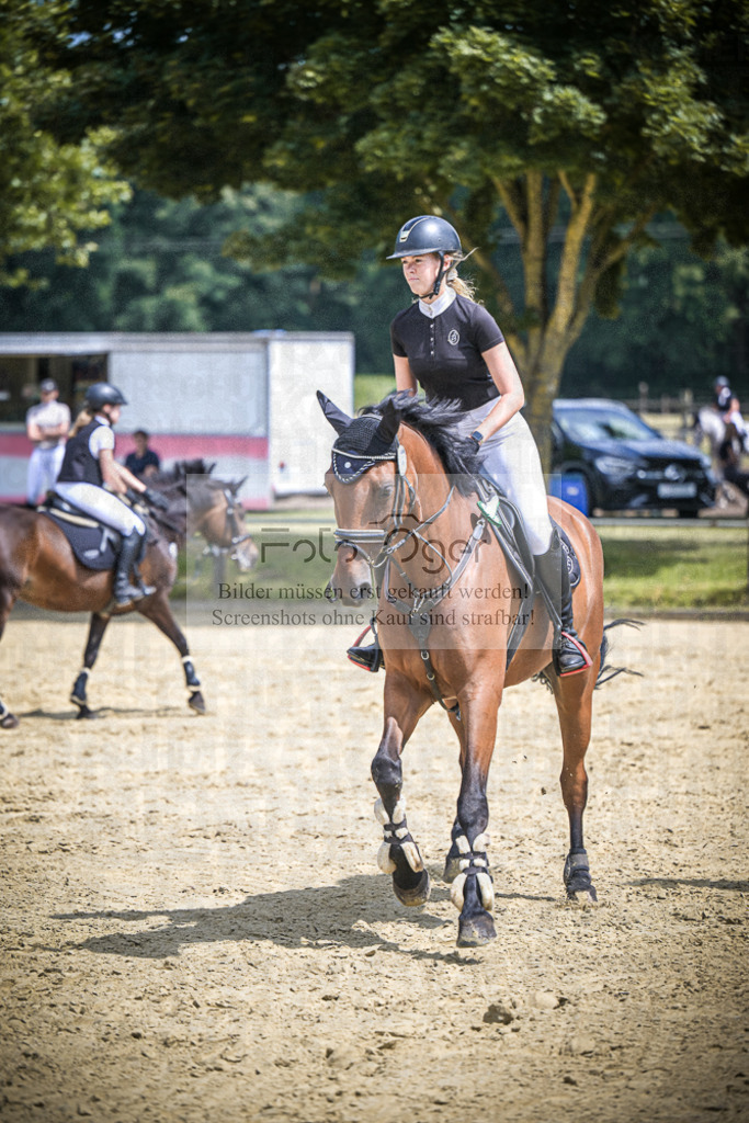 DOS_0595 | Entdecke hochwertige Reitturnierfotos von Foto Oger. Professionell, emotional und authentisch – jetzt Lieblingsmomente im Shop bestellen.Deutschlandweite Turnierfotografie. - Realisiert mit Pictrs.com