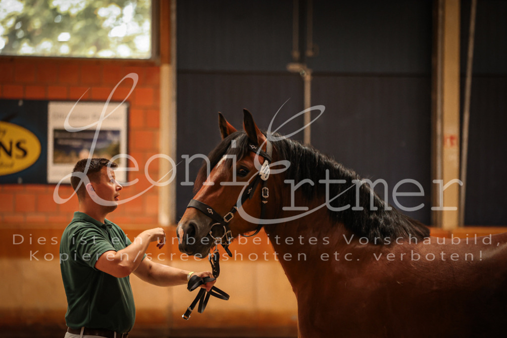 SaFL00136 | Leoni Ertmer Photography - Realisiert mit Pictrs.com