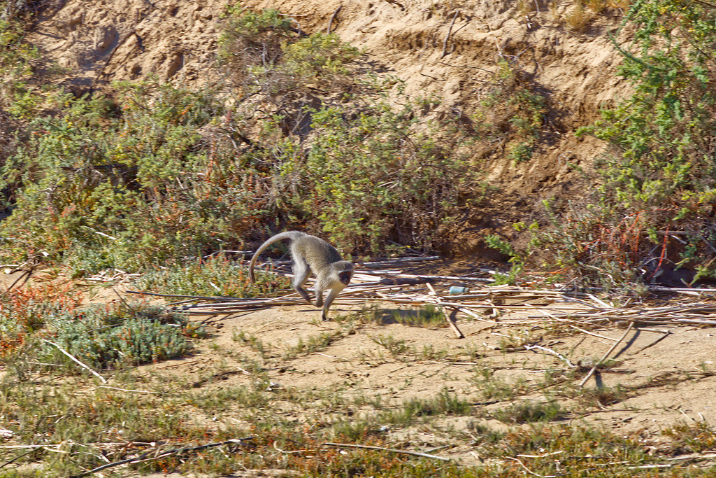 1H5A1690 | ansichtssache