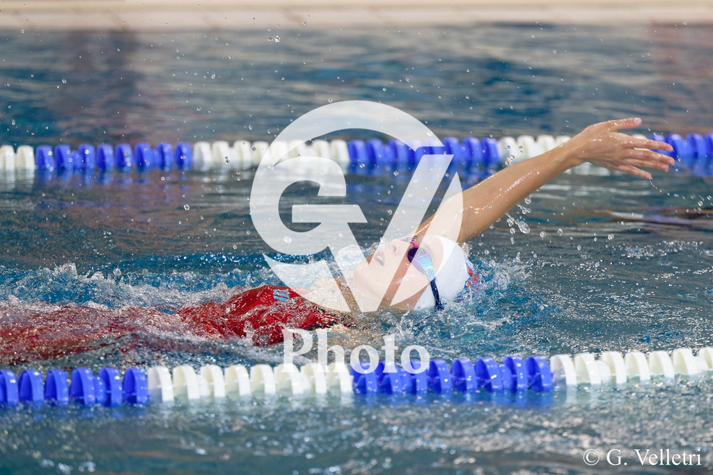 DSC_0368 | Velletri Photo