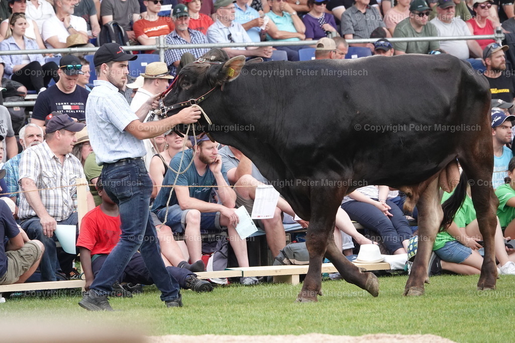 DSC04633 | Schwingen - Realisiert mit Pictrs.com
