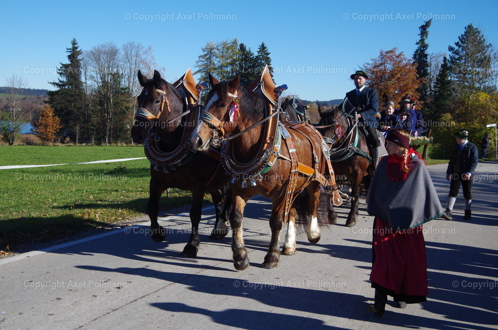 IMGP8127 | fotografiert von Axel PollmannLeonhardi Wallfahrt Benediktbeuern und Murnau, Fronleichnam, Fasching, Landschaft im Loisachtal und Benediktbeuern  - Realisiert mit Pictrs.com