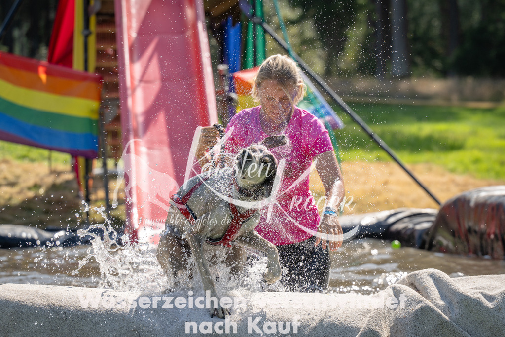 1437_ZZ91267 | kk-dogfotos