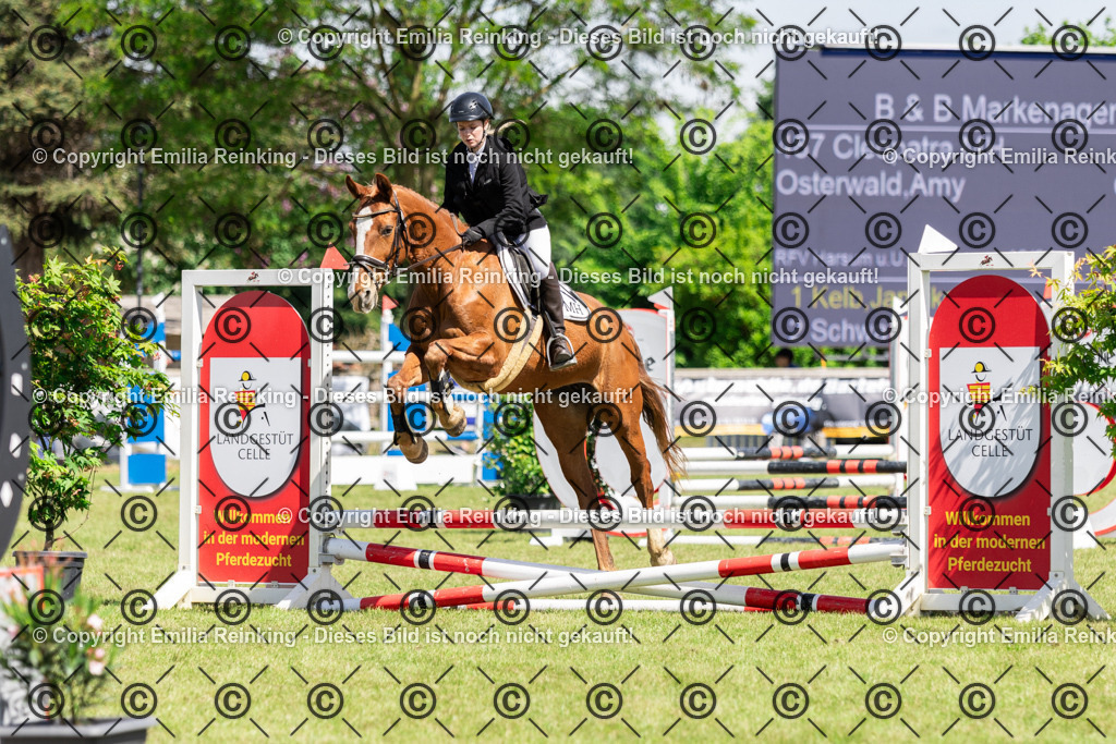 CL5A0064 | Emilia Reinking Fotografie - Realisiert mit Pictrs.com