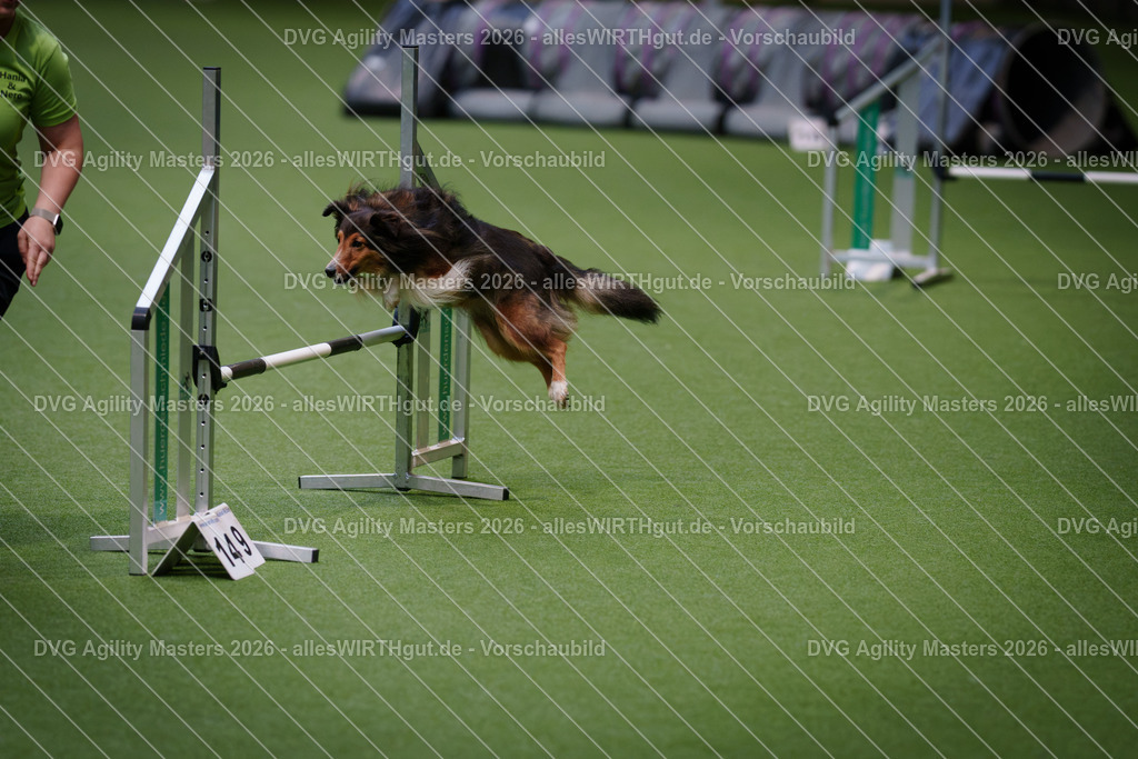 allesWIRTHgut_Tierfotografie-DVG_Agility_Masters_2026-08_34-7R500818 | Professionelle Tierfotografie in Mönchengladbach von Daniel Wirth (allesWIRTHgut). Liebevolle & natürliche Bilder von Hunden & Katzen für unvergessliche Erinnerungen.
