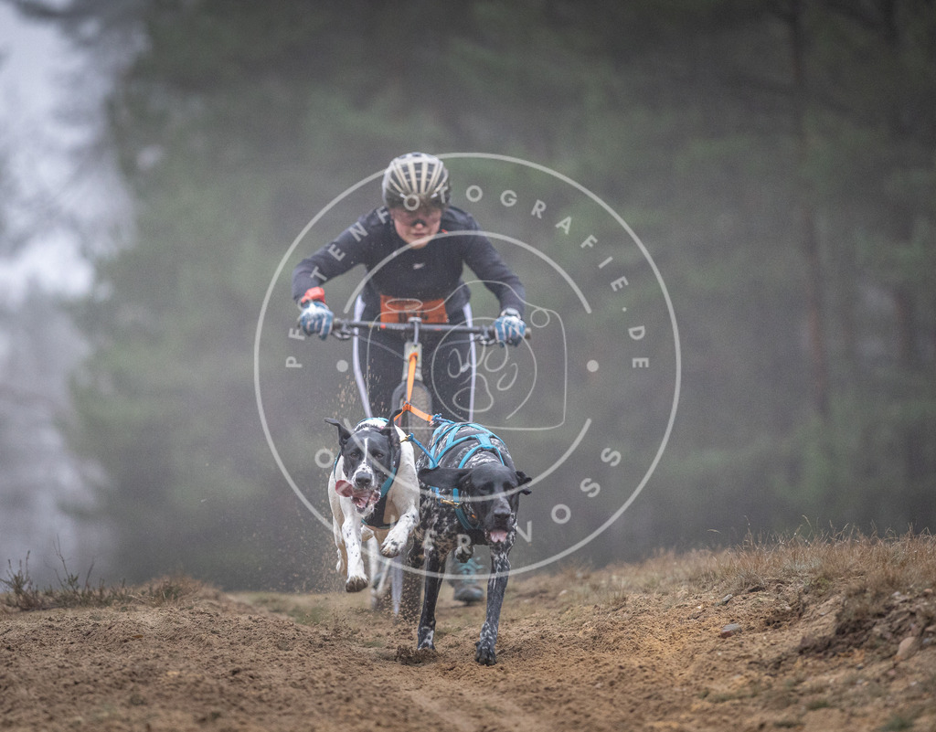 Pfotenfotografie_DV3A0785 | Hundefotografie, Tierfotograf, Pfotenfotografie, Fotoshooting Hund, Hunde Portrait, Hundesport, Hundeportraits, Heideshooting, Hunde, Sportfotograf, Hundefotograf, Turnierhundsport, THS,  - Realisiert mit Pictrs.com