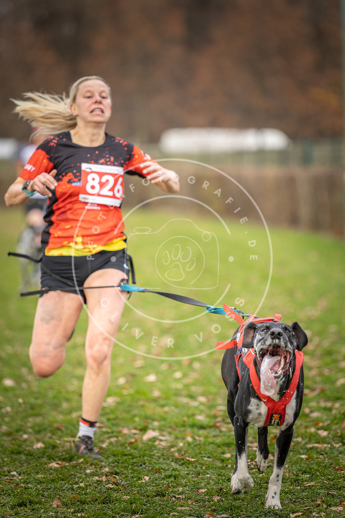 CaniXpix_DV3A6313 | Hundefotografie, Tierfotograf, Pfotenfotografie, Fotoshooting Hund, Hunde Portrait, Hundesport, Hundeportraits, Heideshooting, Hunde, Sportfotograf, Hundefotograf, Turnierhundsport, THS,  - Realisiert mit Pictrs.com