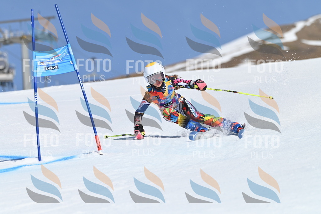 BGV_8847 | holidayphoto