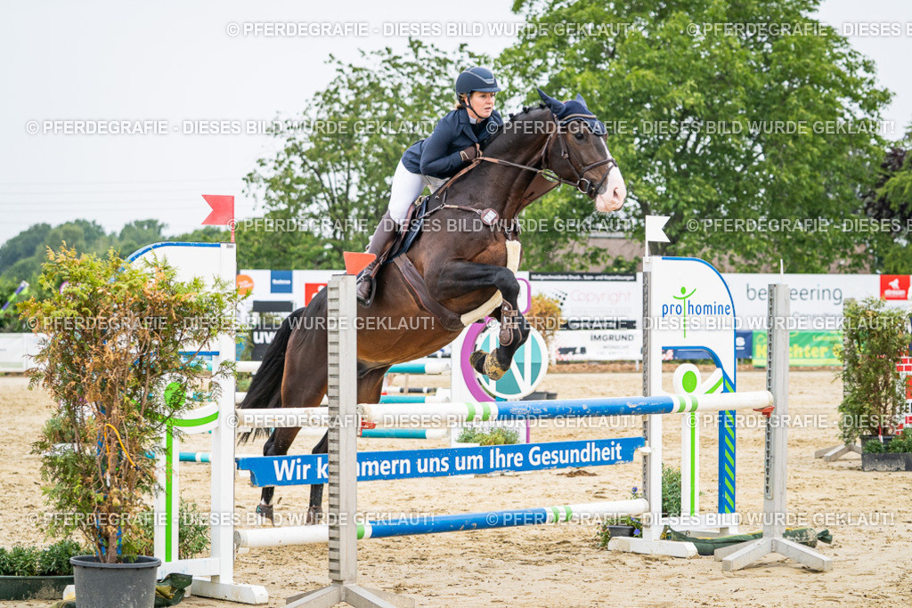 DSC00040 | Pferdegrafie