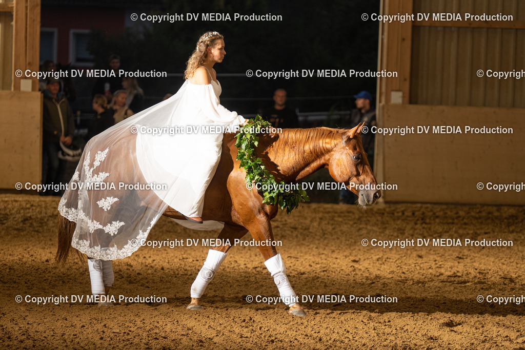 LAU01175 | dv-media-shop - Realisiert mit Pictrs.com