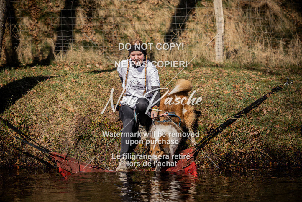 nelerasche_FS1100-1145_340 | nelerasche