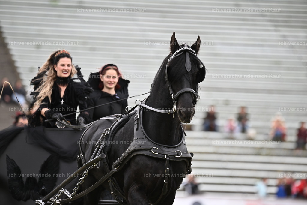 PI26_Show_Sara_Landvogt_226_1226.JPG | working equitationturnier fotograf videograf stoibphotography marixx film working equitation deutschland reitsport turnierfotografie eventfotografie equestrian events