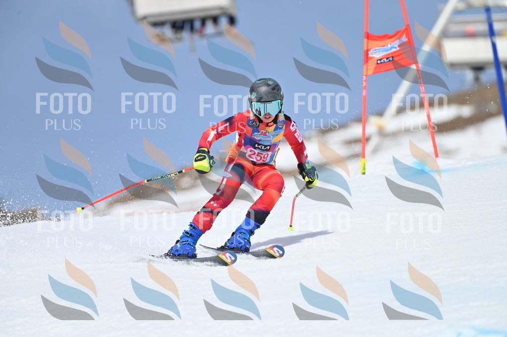 BGV_2048 | holidayphoto