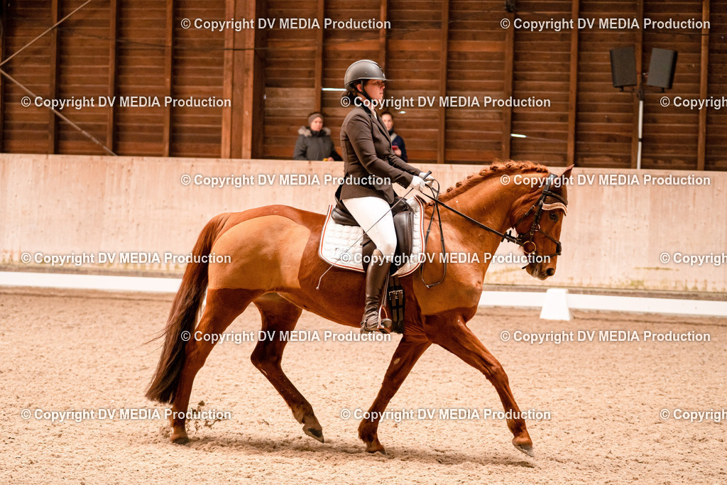 Dressur Tag 2-08 | dv-media-shop - Realisiert mit Pictrs.com