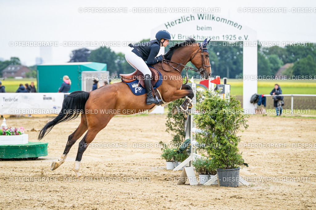 DSC06166 | Pferdegrafie