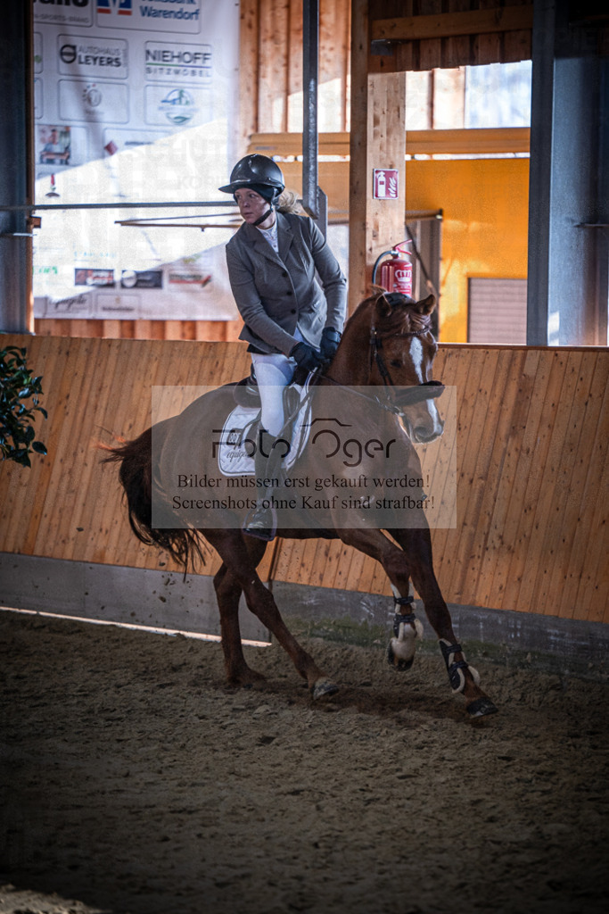 DOS_1476 | Entdecke hochwertige Reitturnierfotos von Foto Oger. Professionell, emotional und authentisch – jetzt Lieblingsmomente im Shop bestellen.Deutschlandweite Turnierfotografie. - Realisiert mit Pictrs.com