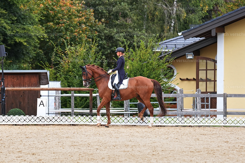 11-238-Dressur S___-Marixx-1760 | working equitationturnier fotograf videograf stoibphotography marixx film working equitation deutschland reitsport turnierfotografie eventfotografie equestrian events
