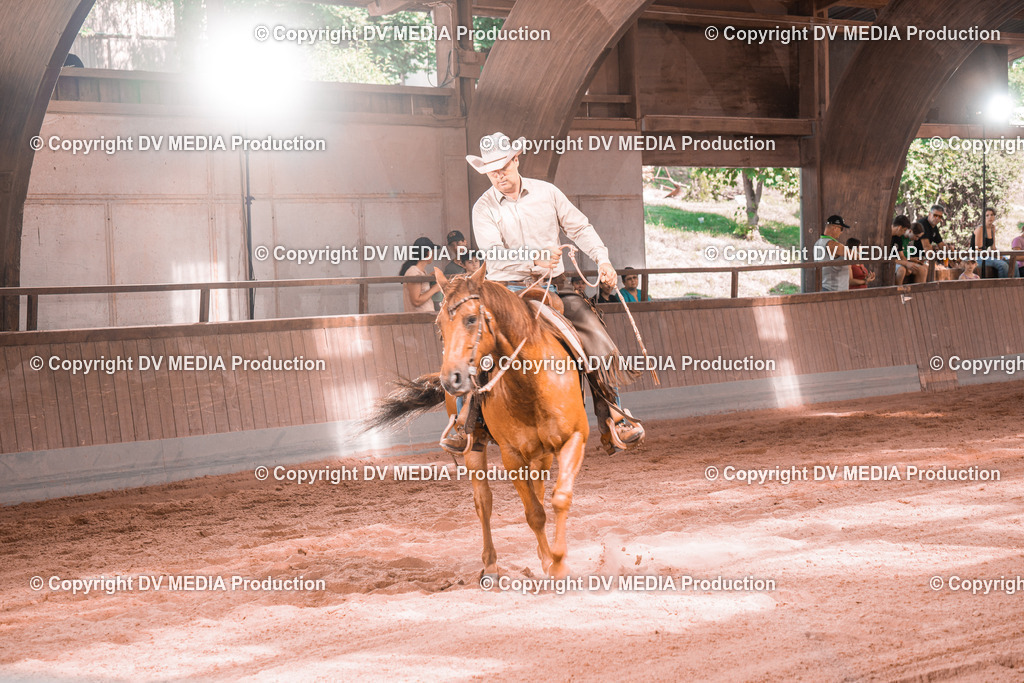 NE300341 | dv-media-shop - Realisiert mit Pictrs.com