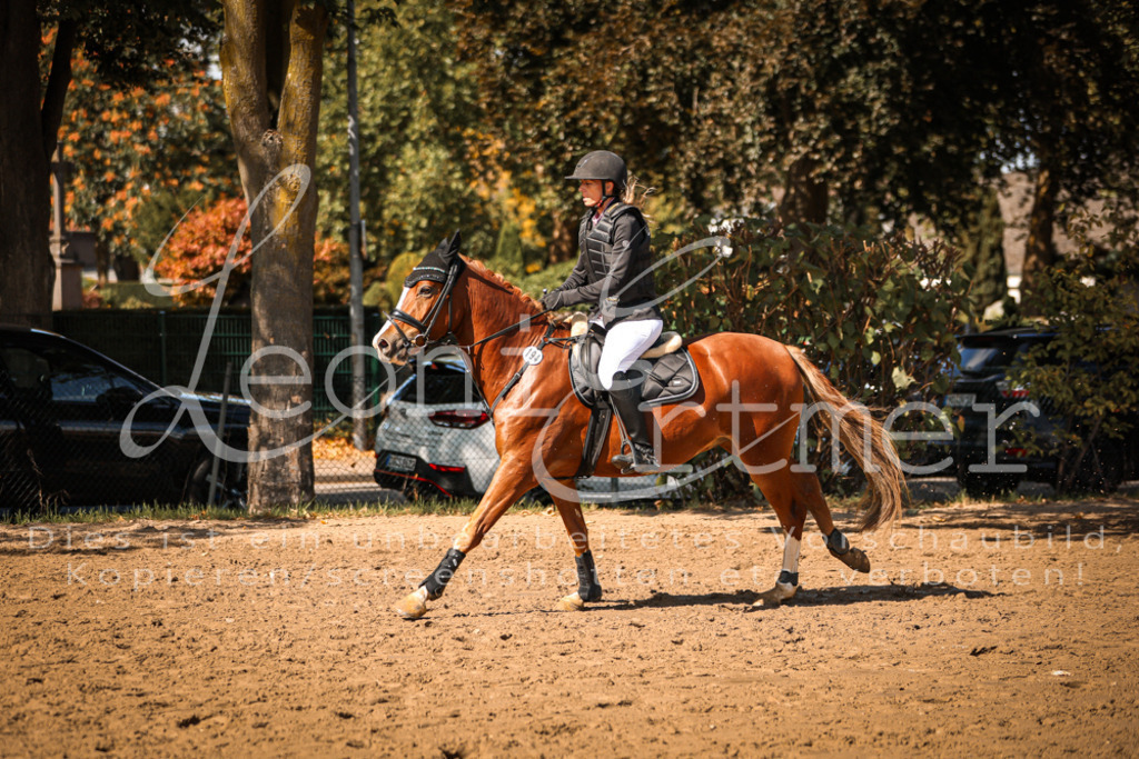 05.SaSpE00337 | Leoni Ertmer Photography - Realisiert mit Pictrs.com