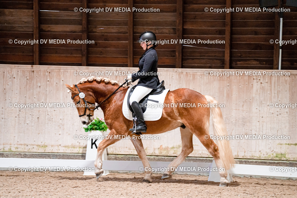 Dressur Tag 2-382 | dv-media-shop - Realisiert mit Pictrs.com