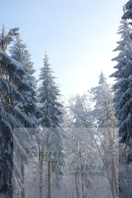 P1030157 | fotografie-jill-carstens