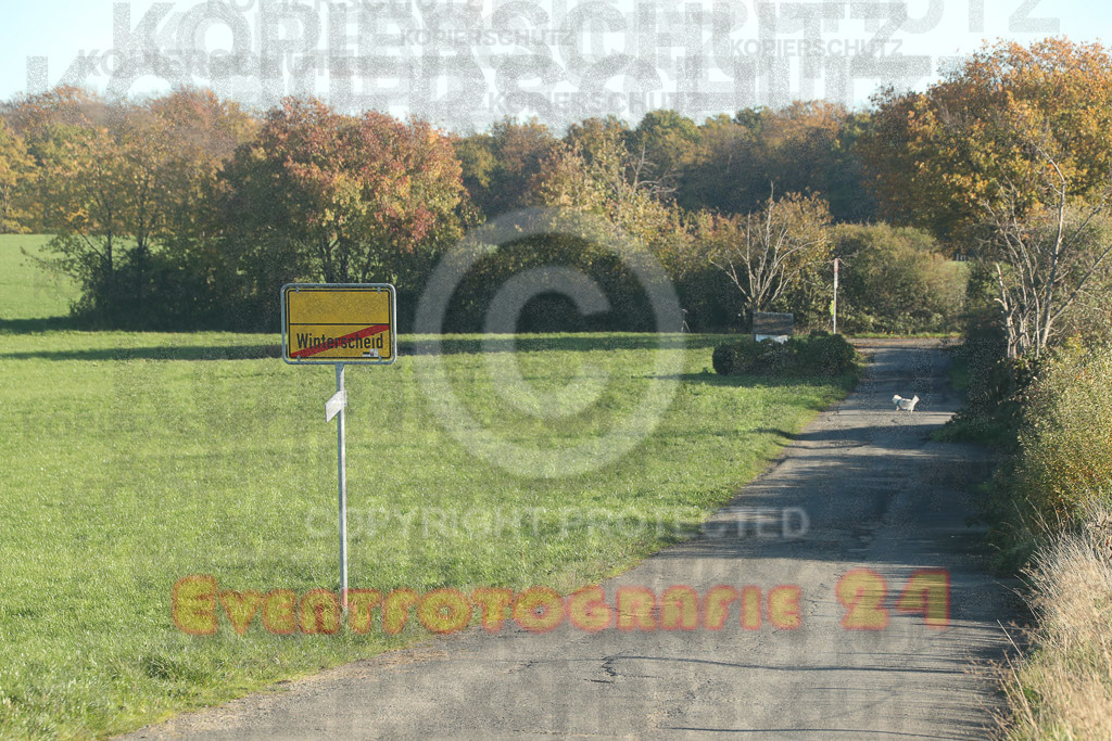 221113_1028_EX2_9646 | Sport- und Eventfotografie