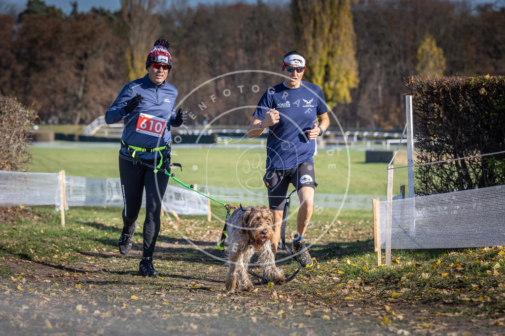 CaniXpix_DV3A9717 | Hundefotografie, Tierfotograf, Pfotenfotografie, Fotoshooting Hund, Hunde Portrait, Hundesport, Hundeportraits, Heideshooting, Hunde, Sportfotograf, Hundefotograf, Turnierhundsport, THS,  - Realisiert mit Pictrs.com