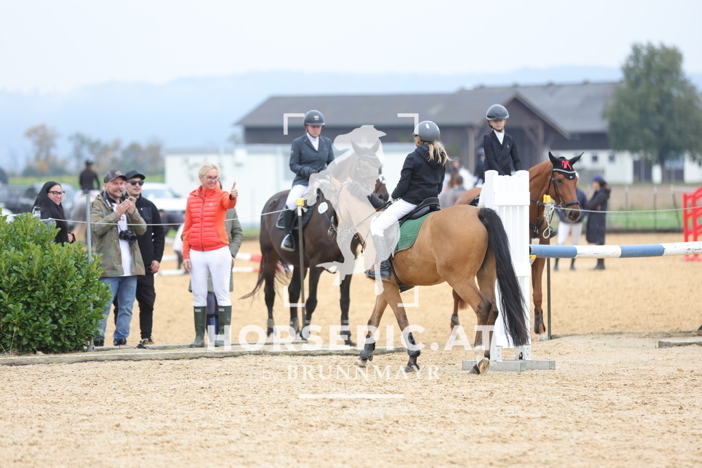 0P6A1421 | Willkommen bei Brunnmayr - Design & Fotografie – Ihrem Spezialisten für Reitturniere und Pferdeveranstaltungen in Oberösterreich, Salzburg und Bayern! Seit über 17 Jahren sind wir leidenschaftlich dabei.