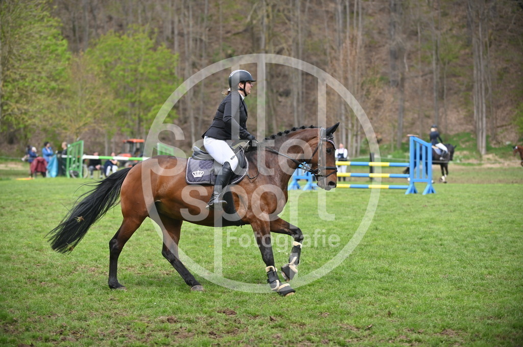 DSC_1630 | sattelsport - Realisiert mit Pictrs.com