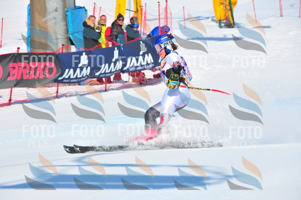 DSC_4657 | holidayphoto