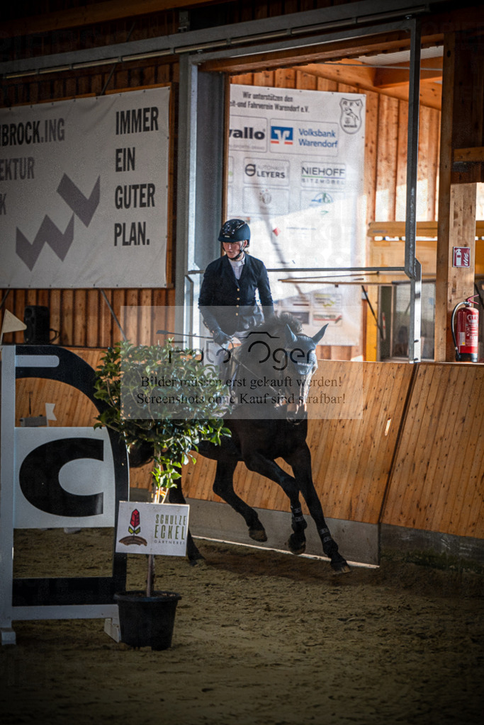 DOS_0471 | Entdecke hochwertige Reitturnierfotos von Foto Oger. Professionell, emotional und authentisch – jetzt Lieblingsmomente im Shop bestellen.Deutschlandweite Turnierfotografie. - Realisiert mit Pictrs.com
