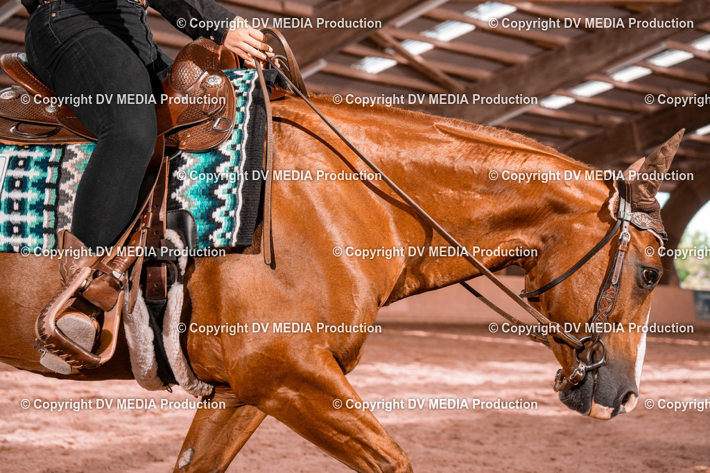 NE200712 | dv-media-shop - Realisiert mit Pictrs.com