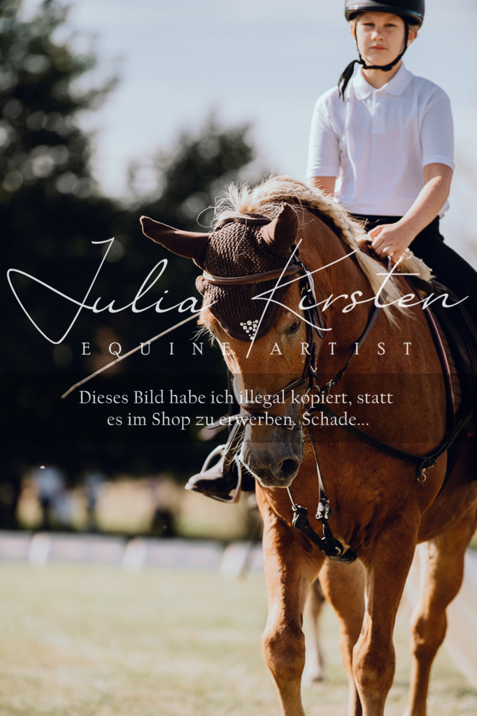 DSC_6874 | Pferde- und Turnierfotografie in Westsachsen. Pferdeportraits, Auftragszeichnungen und intuitive Kunst.