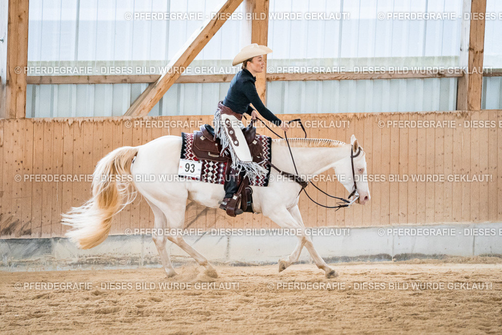 DSC02913 | Pferdegrafie