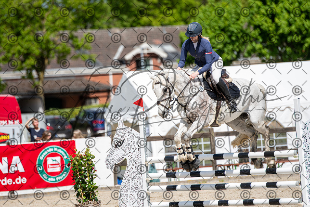 KPT_5277 | andre_photographic